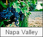 Napa Valley Wedding Gallery Thumbnail